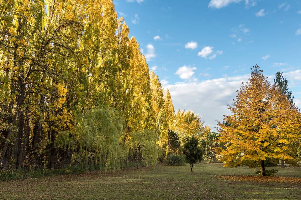 Parque en Otoño