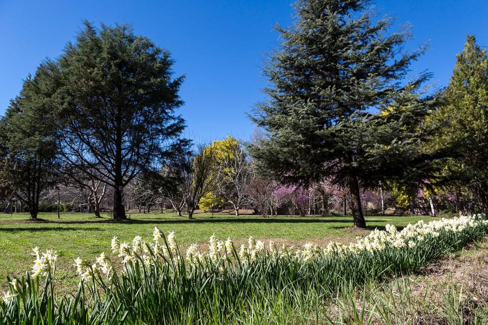 Jardín de las Rosas