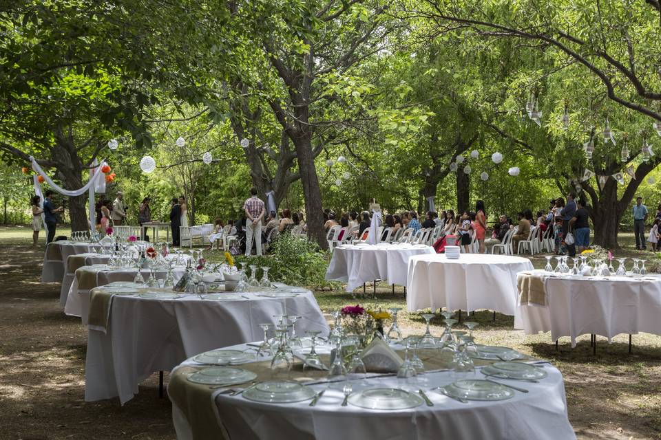 Servicio a la mesa