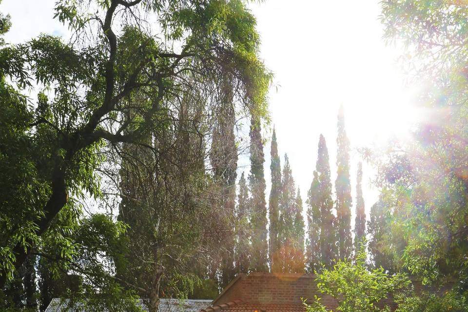 Jardín Principal y Salón