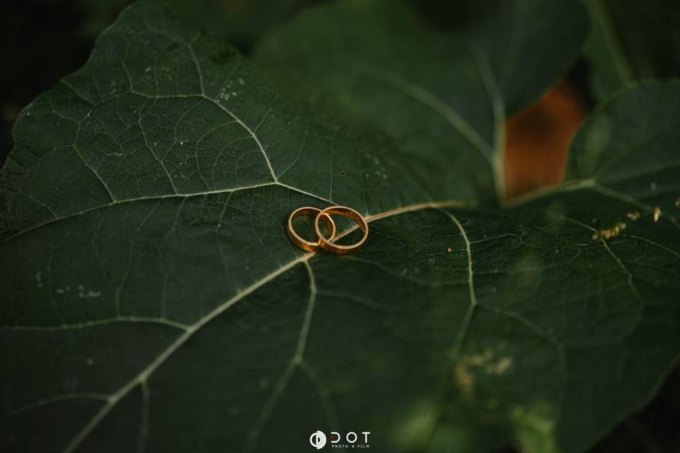 Dot Photo and Film