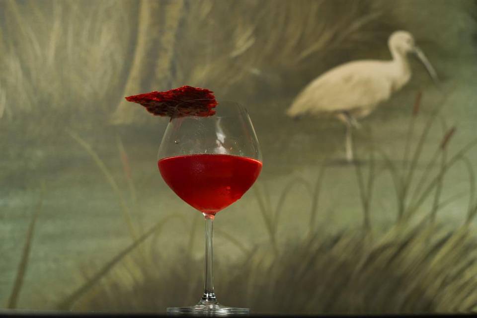 Vinos y licores