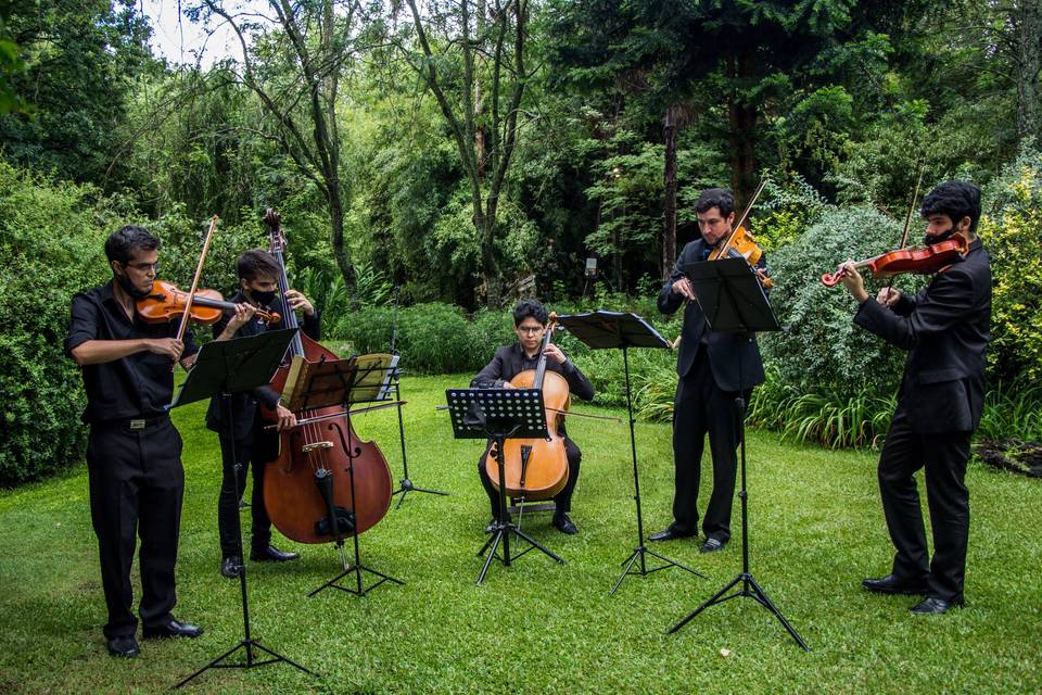 Cuarteto de Cuerdas Verve