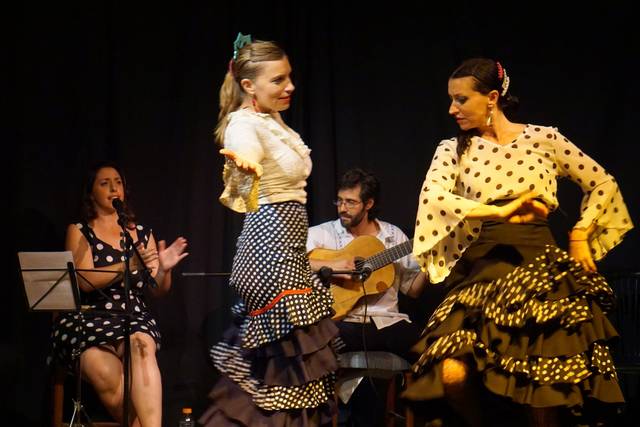 Flamenco Show