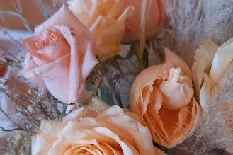 Flores naturales