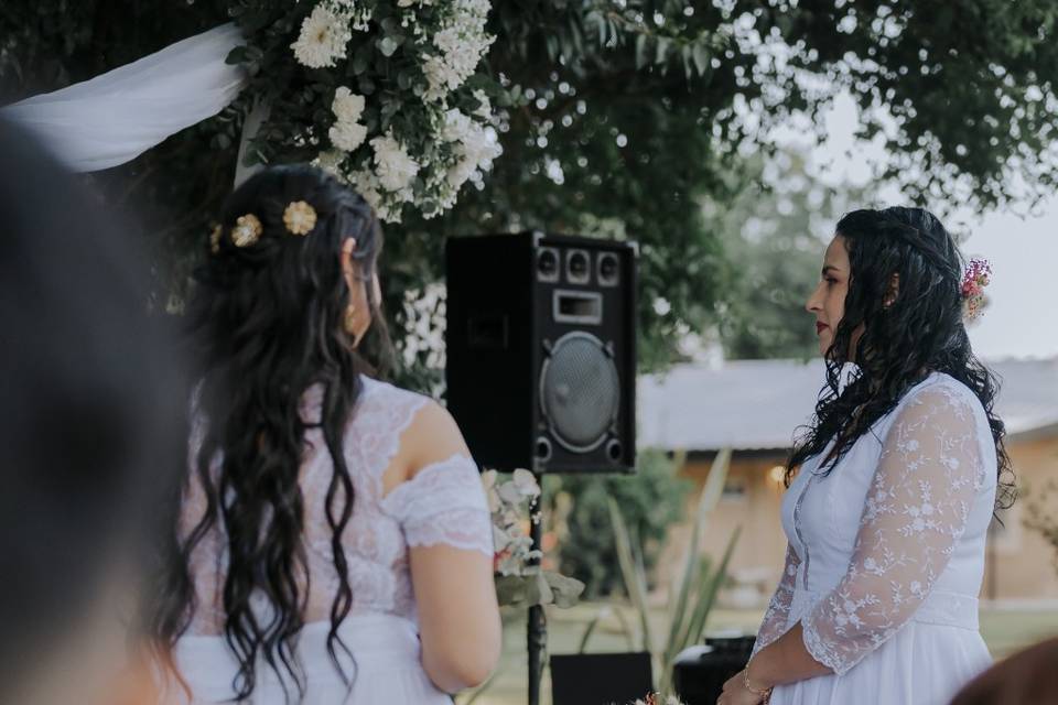 Boda en Quinta Los Eucaliptos