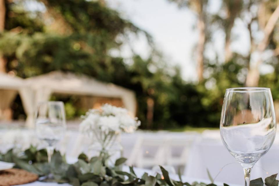 Boda en Quinta Los Eucaliptos