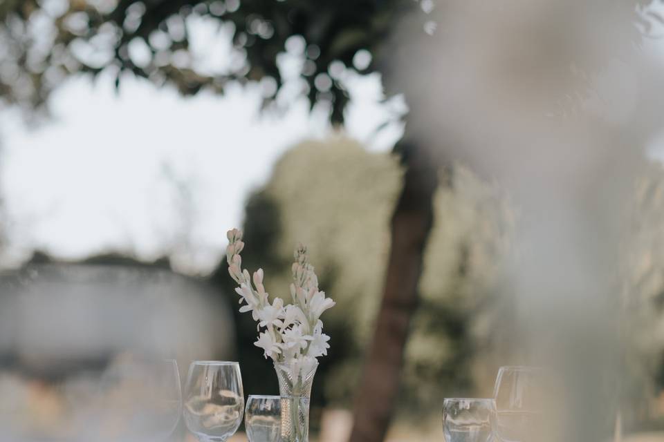 Boda en Quinta Los Eucaliptos