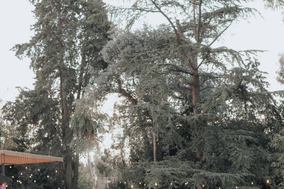 Boda en Quinta Los Eucaliptos