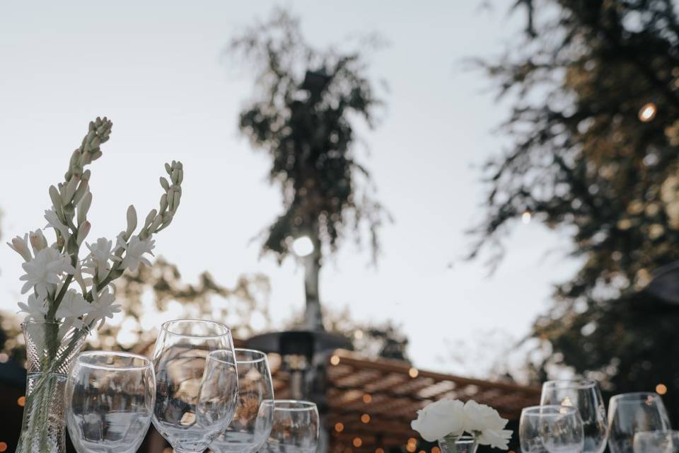 Boda en Quinta Los Eucaliptos
