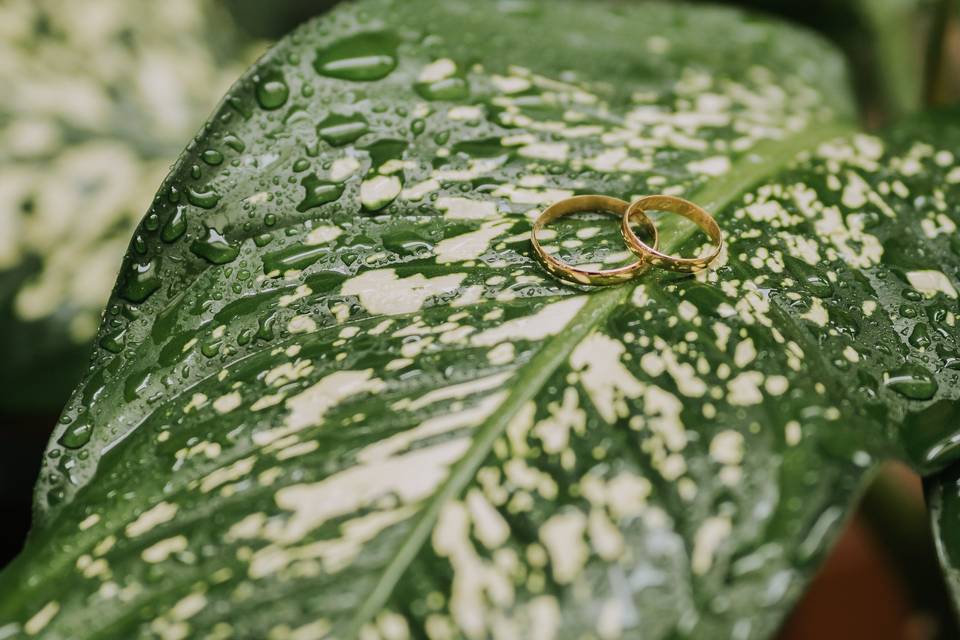 Anillos