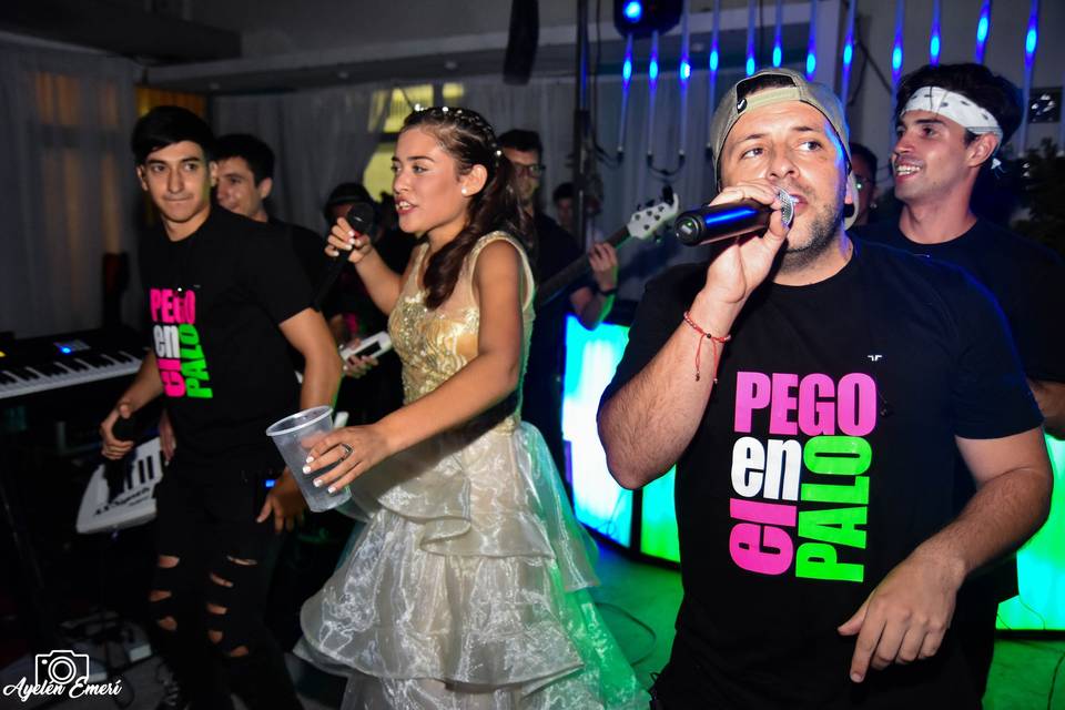 Pegó en el Palo