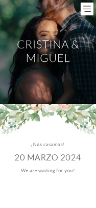 Diseño Painted Garland